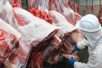 veto-da-uniao-europeia-a-carne-brasileira-acende-alerta-em-goias;-veja-o-que-diz-secretaria-de-agricultura-e-pecuaria