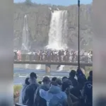 apos-homem-pular-nas-cataratas-do-iguacu,-gestao-reforca-proibicao