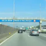 boi-invade-rodovia,-causa-confusao-e-mobiliza-motoristas-em-sc