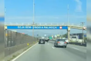 boi-invade-rodovia,-causa-confusao-e-mobiliza-motoristas-em-sc