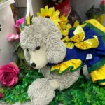 copa-movimenta-ate-mercado-para-pets-em-goiania;-veja-opcoes