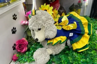 copa-movimenta-ate-mercado-para-pets-em-goiania;-veja-opcoes