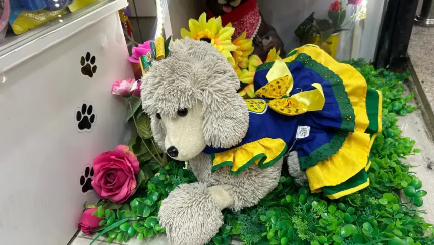 copa-movimenta-ate-mercado-para-pets-em-goiania;-veja-opcoes