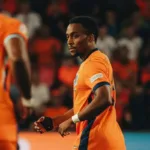 holanda-corta-lateral-timber,-do-arsenal