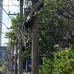 empresas-podem-ser-interditadas-e-receber-multas-de-ate-r$-40-mil-por-fios-soltos-em-goiania