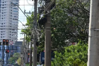 empresas-podem-ser-interditadas-e-receber-multas-de-ate-r$-40-mil-por-fios-soltos-em-goiania