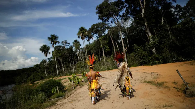 fazendeiros-usam-agrotoxicos-para-expulsar-aldeia-indigena-em-rondonia,-diz-mpf
