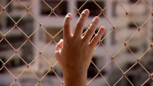 lei-sancionada-em-goias-obriga-policia-a-notificar-oab-sobre-casos-de-violencia-envolvendo-advogados