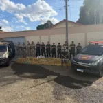 go:-carga-de-skunk-avaliada-em-r$-1,5-milhao-e-encontrada-em-deposito-clandestino