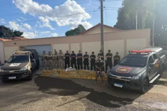go:-carga-de-skunk-avaliada-em-r$-1,5-milhao-e-encontrada-em-deposito-clandestino