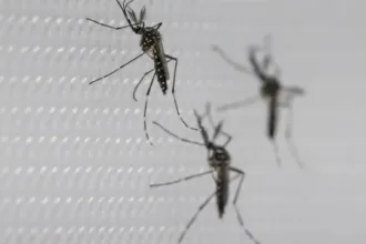 Vacina da dengue do Butantan suspensa pelo SUS