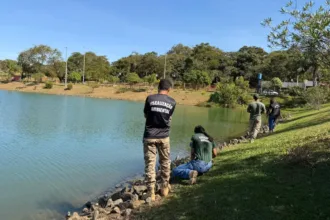 relato-de-jacare-em-lago-de-cidade-ocidental-mobiliza-operacao-de-resgate,-mas-animal-nao-e-encontrado