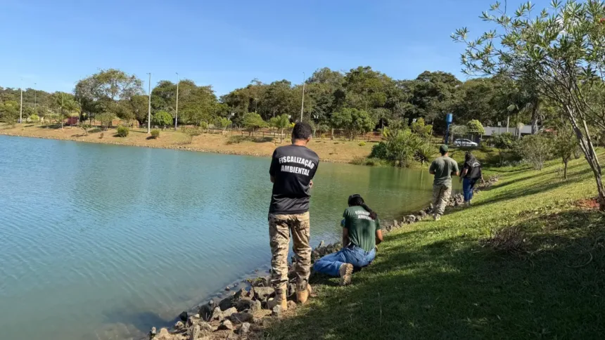 relato-de-jacare-em-lago-de-cidade-ocidental-mobiliza-operacao-de-resgate,-mas-animal-nao-e-encontrado