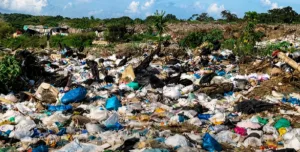 ex-prefeito-de-leopoldo-de-bulhoes-vira-reu-por-lixao-clandestino-e-crimes-ambientais