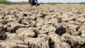 el-nino-comecou-e-ficara-intenso-no-final-do-ano,-aponta-agencia-dos-eua