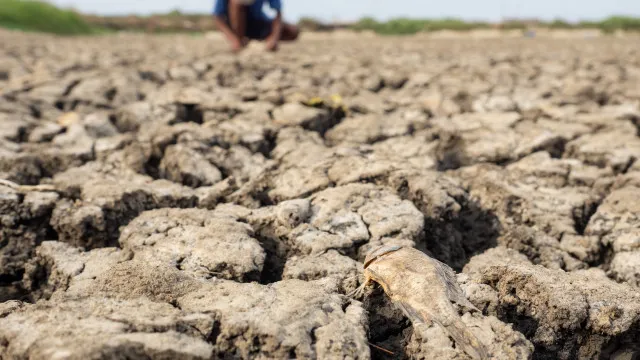 el-nino-comecou-e-ficara-intenso-no-final-do-ano,-aponta-agencia-dos-eua