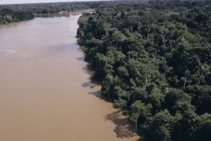 desmatamento-na-amazonia-cai-61,4%-em-maio-de-2026