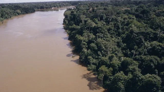 desmatamento-na-amazonia-cai-61,4%-em-maio-de-2026