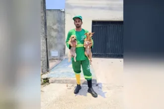 coletor-de-lixo-de-anapolis-viraliza-com-videos-ao-lado-de-cachorro-caramelo;-assista
