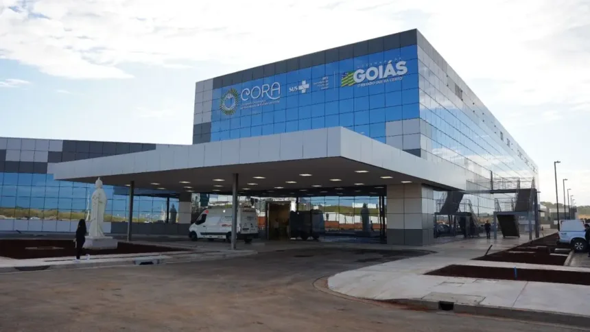 em-um-ano,-cora-registra-mais-de-2-mil-sessoes-de-quimioterapia-e-5,4-mil-consultas