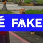e-#fake-video-de-gatinho-flagrando-‘traicao’;-cena-foi-gerada-com-inteligencia-artificial