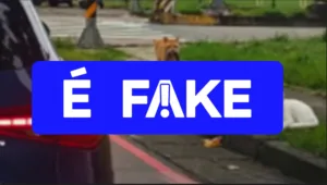 e-#fake-video-de-gatinho-flagrando-‘traicao’;-cena-foi-gerada-com-inteligencia-artificial