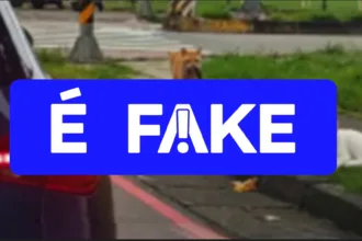 e-#fake-video-de-gatinho-flagrando-‘traicao’;-cena-foi-gerada-com-inteligencia-artificial