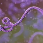 rs-investiga-caso-suspeito-de-ebola-em-homem-que-esteve-em-uganda