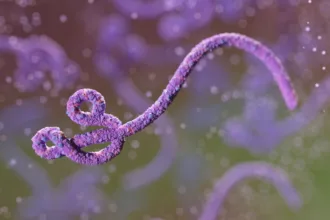 rs-investiga-caso-suspeito-de-ebola-em-homem-que-esteve-em-uganda