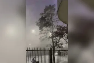 Árvore balançando durante tempestade em Goiânia