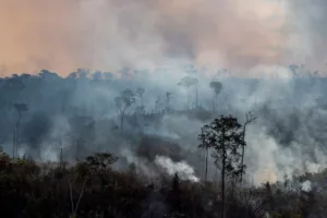 Incêndio florestal em Spokane com evacuações e mobilização