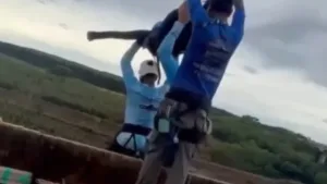 Juiz critica falta de cautelas mínimas após morte em ponte