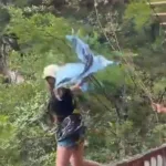 Demolição da Ponte do Esqueleto em Limeira