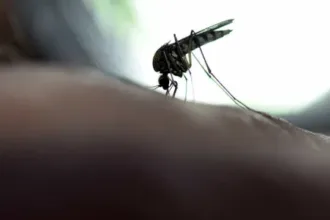 Novo caso de febre amarela em Lagoinha