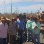 Fiéis na Romaria do Divino Pai Eterno em carros de boi