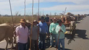 Fiéis na Romaria do Divino Pai Eterno em carros de boi