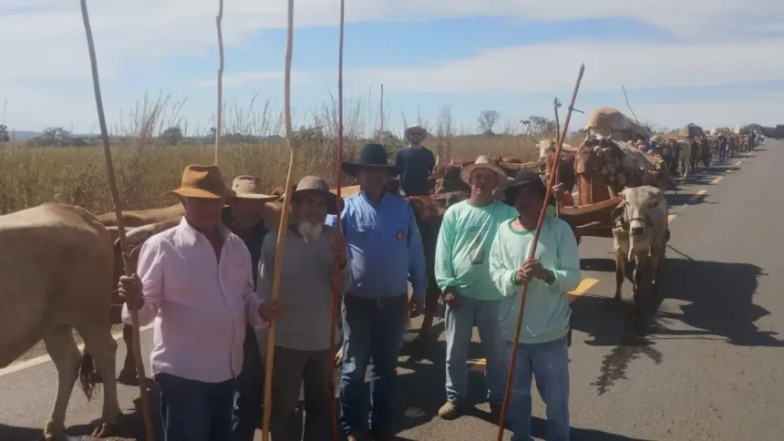 Fiéis na Romaria do Divino Pai Eterno em carros de boi