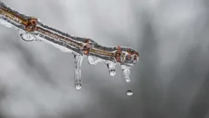 Previsão de neve no Brasil com massa de ar frio