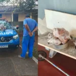 Frango e pequi furtados em Goiás durante furto de galinhas