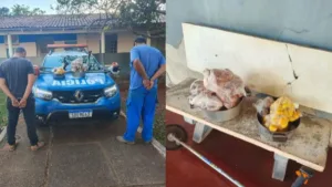 Frango e pequi furtados em Goiás durante furto de galinhas