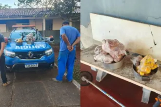 Frango e pequi furtados em Goiás durante furto de galinhas