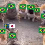 japao-x-suecia:-veja-memes-do-empate-que-definiu-o-proximo-adversario-do-brasil