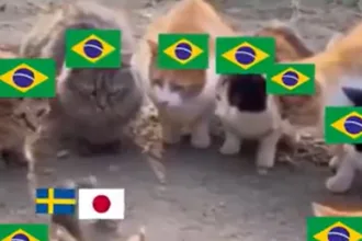japao-x-suecia:-veja-memes-do-empate-que-definiu-o-proximo-adversario-do-brasil
