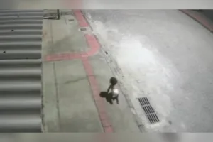 Bebê encontrada sozinha engatinhando na rua durante a madrugada