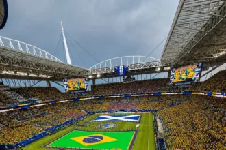 Planejamento para Copa do Mundo: Torcedor Goiano no Estádio