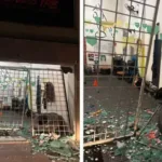 Ataque a academia em Campo Grande com carro destruindo fachada