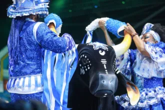 Boi Caprichoso no Festival de Parintins 2026