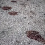 Menino autista morre ao cair de prédio em Manaus