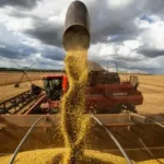 saldo-problematico-do-credito-rural-alcanca-r$-21,4-bilhoes-em-goias-e-cresce-237%-em-dois-anos