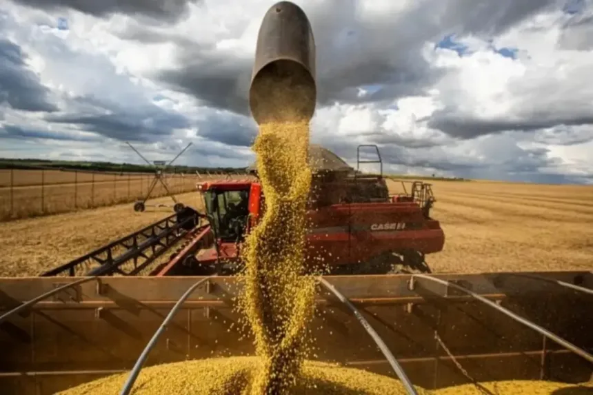 saldo-problematico-do-credito-rural-alcanca-r$-21,4-bilhoes-em-goias-e-cresce-237%-em-dois-anos